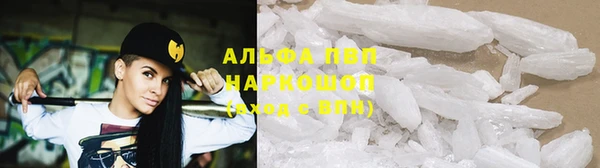прущие грибы Армянск