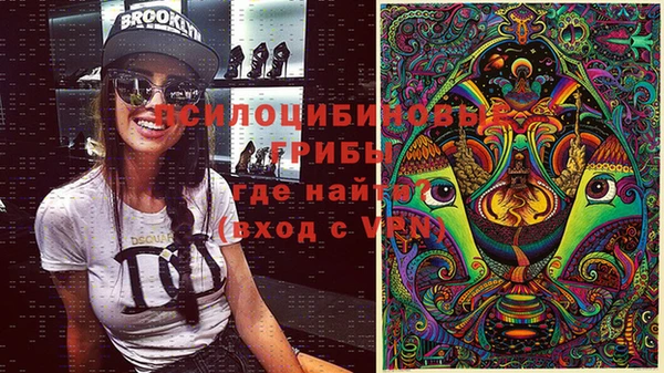 крисы Арсеньев