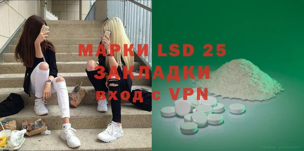 spice Аркадак