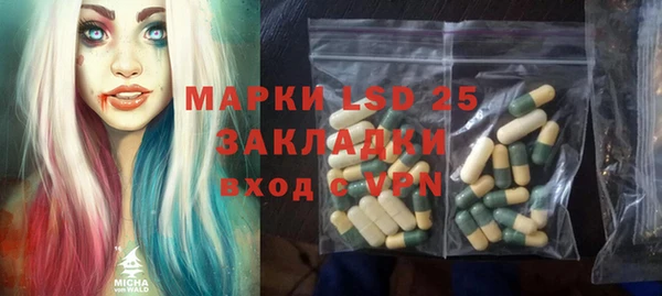 spice Аркадак